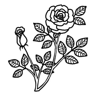 バラ7 バラ 薔薇 花 無料 白黒イラスト素材