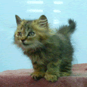 Vi presento Peter