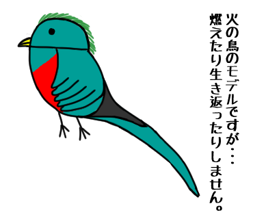 ケツァール 火の鳥のモデルになった世界一美しい鳥 魔王のアトリエ 珍生物調査記録図鑑