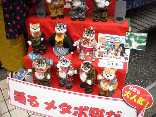 cat_dolls