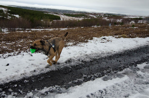 Bella Sprinting