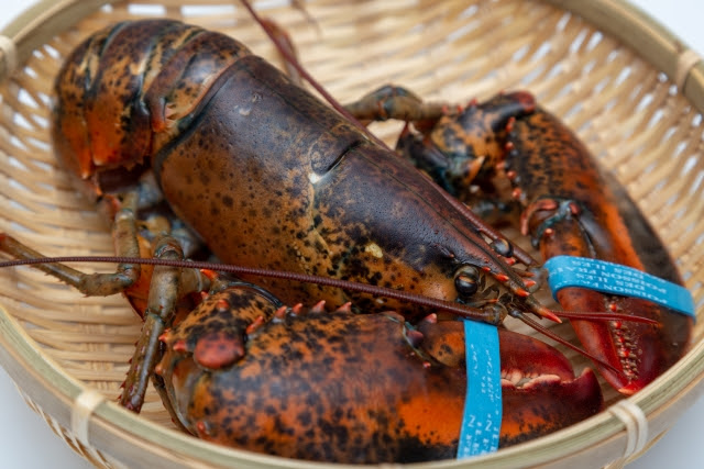 実は食べれる ザリガニの美味しい調理方法と食べ方 Muvuvu