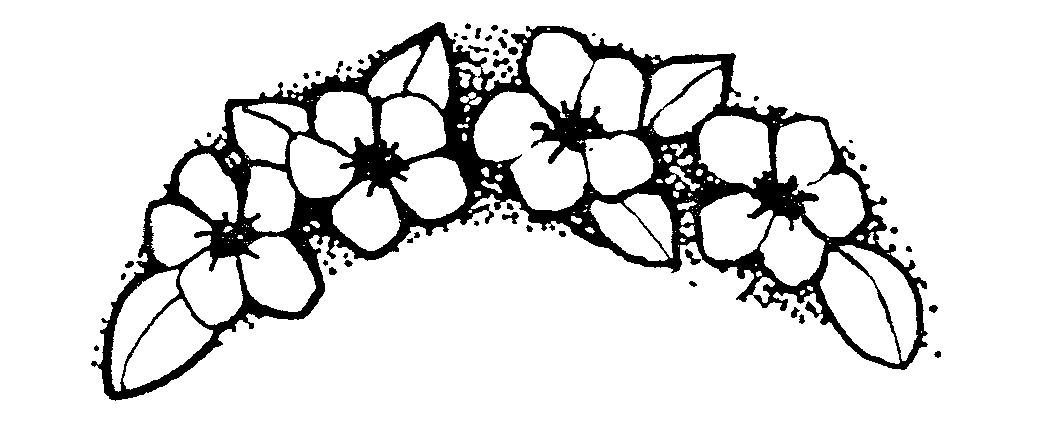 Download Flower Arch