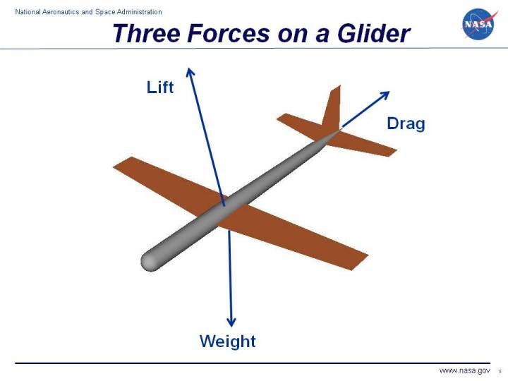 Paper Airplane Glider