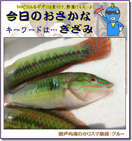 ギザミ ベラ のおいしいレシピ 旬は夏 瀬戸内の魚