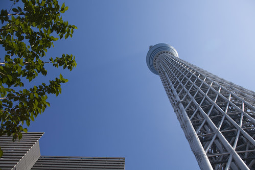 モロゾフ 東京スカイツリークリスピーショコラ ライオンのごきげんようで今日のおやつとして紹介 おめざファンお取り寄せブログ
