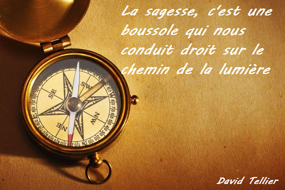 Citations Chtitefourmi