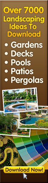 Landscaping Ideas