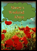 BLOG TITLE
