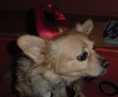 Rusty the Devil
