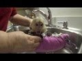 How To Get Baby Out Of Bath Without Crying / Dad Makes the BEST Bubble Bath of All Time, Automatically ... - Twins that shared a room.