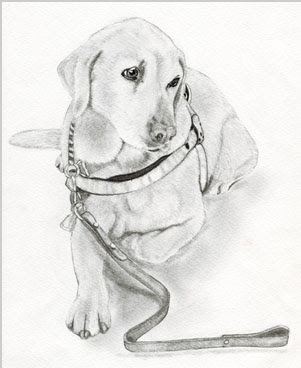 犬の描き方 写実的 くるみ鉛筆画教室