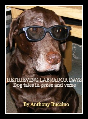 Retrieving Labrador Days