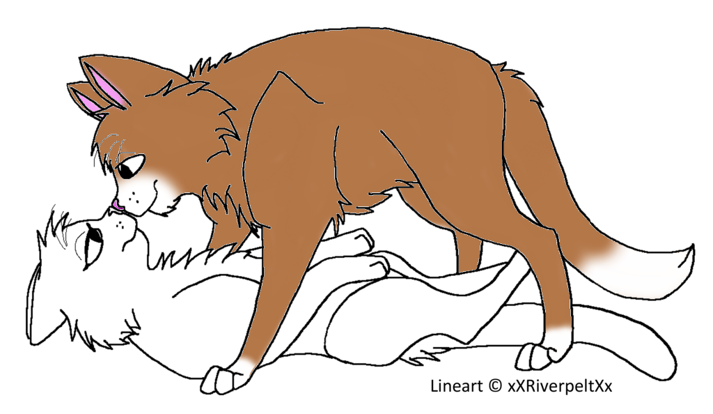 Warrior Cat OC Mate Finish by BoobearHazza on DeviantArt