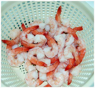 Shrimp