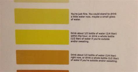  dehydration urine color chart at work mildlyinteresting