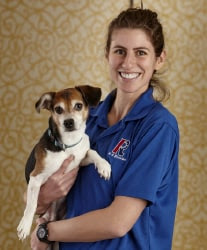 Canine Bed Bug Inspections