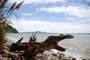 Karaka Bay Beach