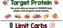 Low Carb High Fat Foods