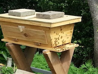 Interior Decorating: Top Bar Hive Beekeeping Theme