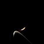 http://fc01.deviantart.com/fs17/f/2007/129/4/c/Flourish_by_djsmalley.gif