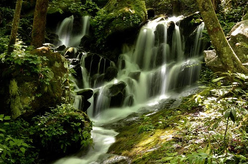 Tremont Waterfall