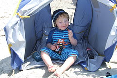 Witterings 2011