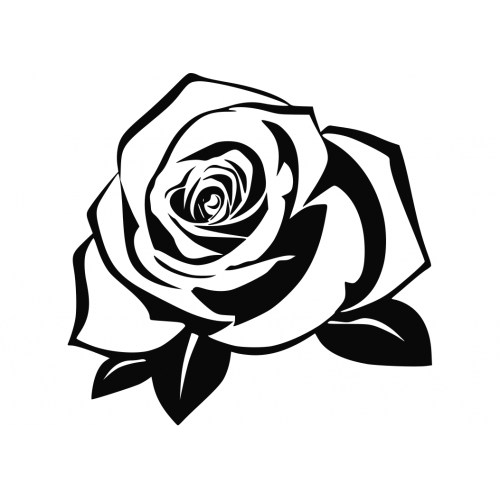 Download Silhouette Royalty-free Rose - Silhouette png download - 500*500 - Free Transparent Silhouette ...