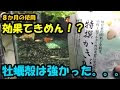 コンプリート！ ダイソー ソイル ph 308553