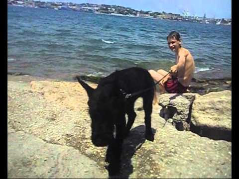 Севастопольская бухта. июнь 2012