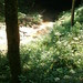P6220051