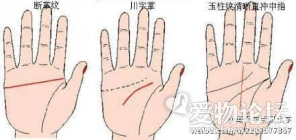 注意 川掌紋 的女人婚姻竟然都 好恐怖呀 我已經手刀去拜月老了 Love分享