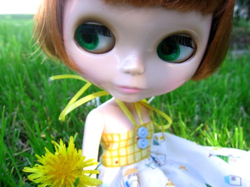Chiru and the only dandelion in the yard. Propiedad de Svohljott Chiru and the only dandelion in the yard. Propiedad de Svohljott