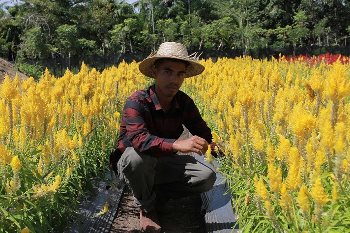 Kaisar Pria bertangan Dingin di Balik Pesona Taman Bunga Kaisar Pria bertangan Dingin di Balik Pesona Taman Bunga