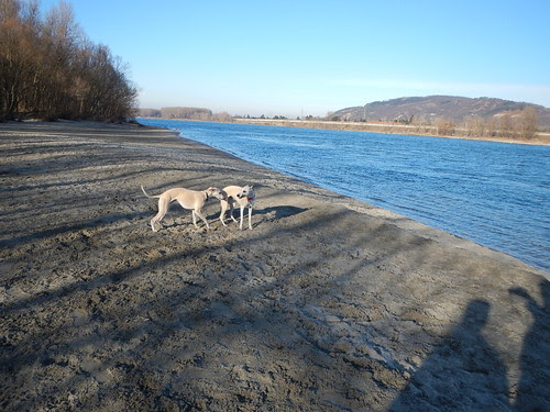 DSCN0565
