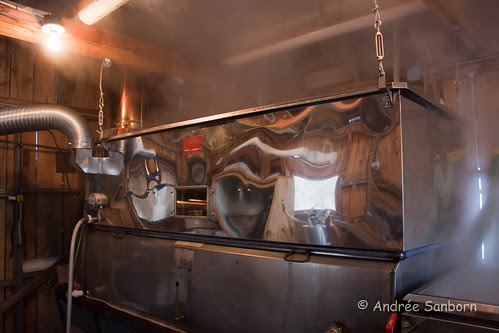 Sugaring in Barton (5 of 77).jpg