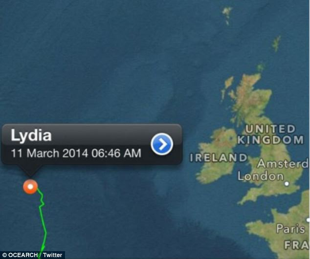 Putih besar sharked bernama Lydia telah melakukan perjalanan 313 mil dalam 72 jam terakhir.