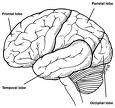 tourette