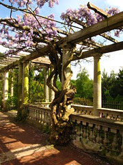 The Pergola, Hampstead Heath