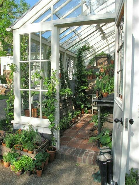 cute greenhouse greenhouse gardening indoor garden