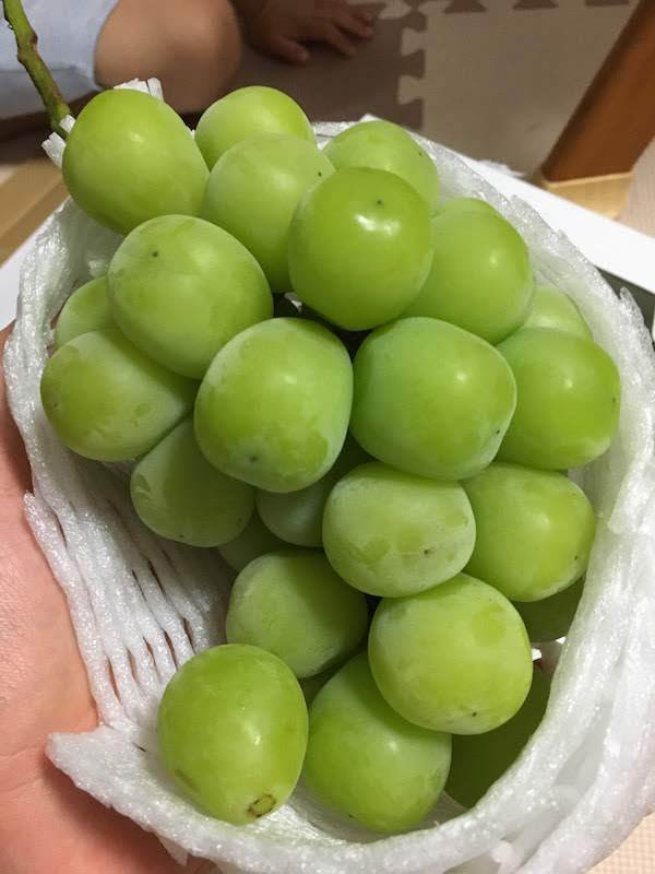 ふるさと納税シャインマスカット 福岡県筑後市 は高コスパでおすすめ ダーヤス Com プレミアム
