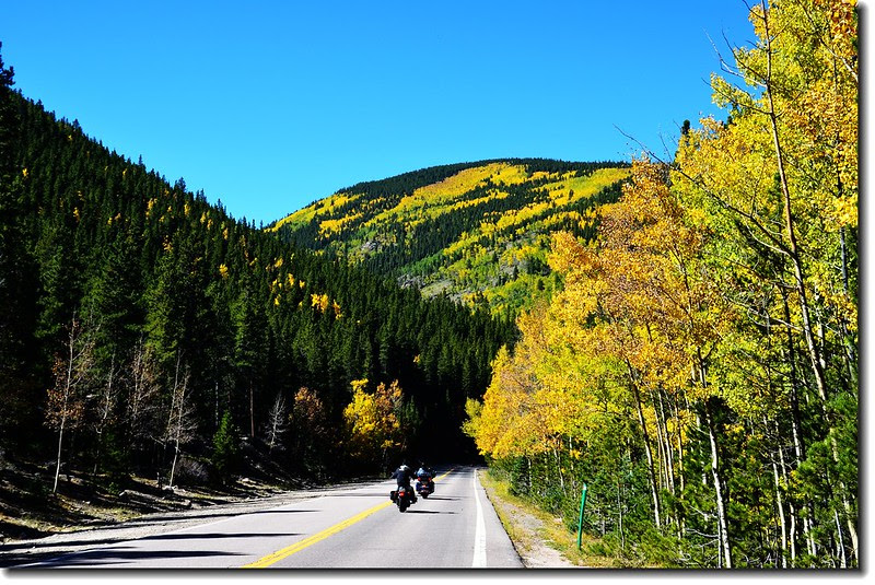 Fall colors, Mount Evans Scenic Byway, Colorado (37)