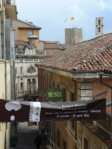 vieux grasse.jpg