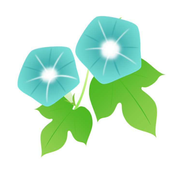 水色の朝顔 葉付き のイラスト 無料イラスト素材 ちいさないきもの