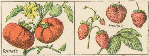 fraises