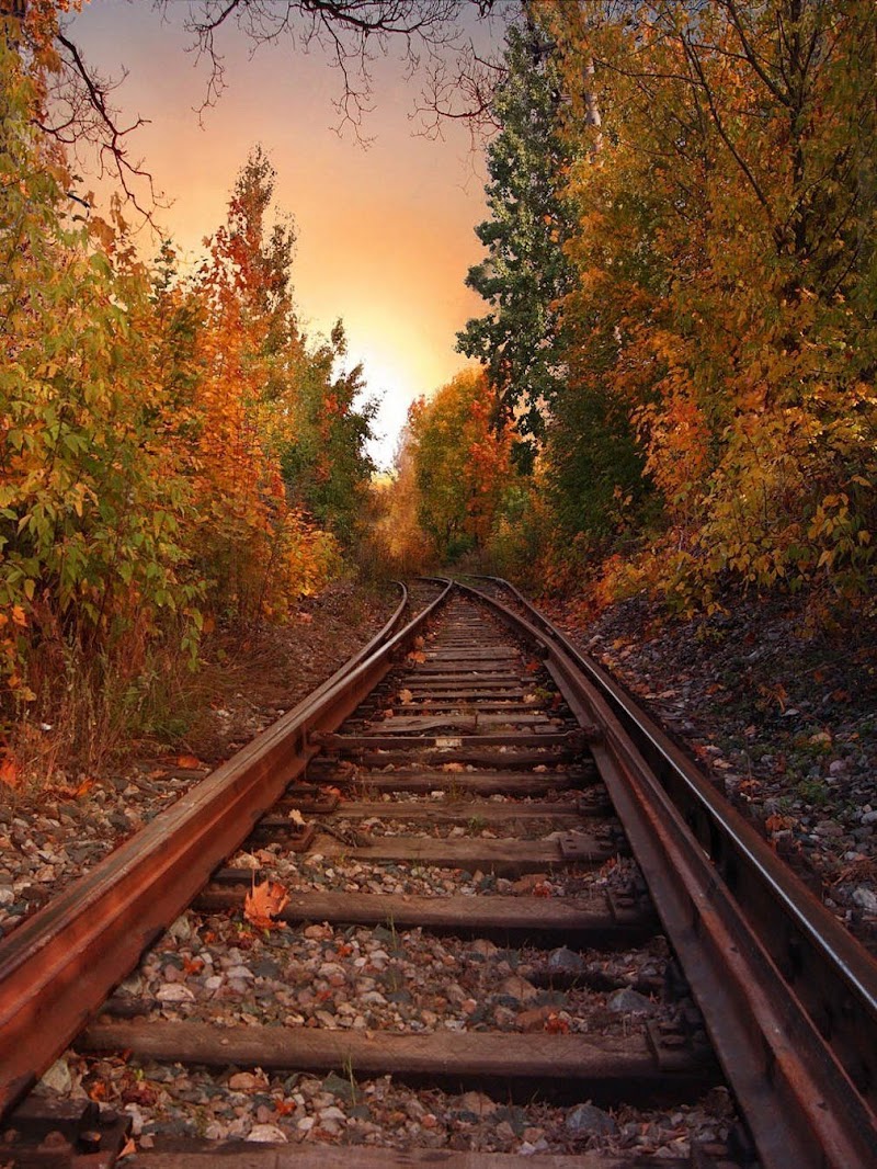 24+ Photographic Background