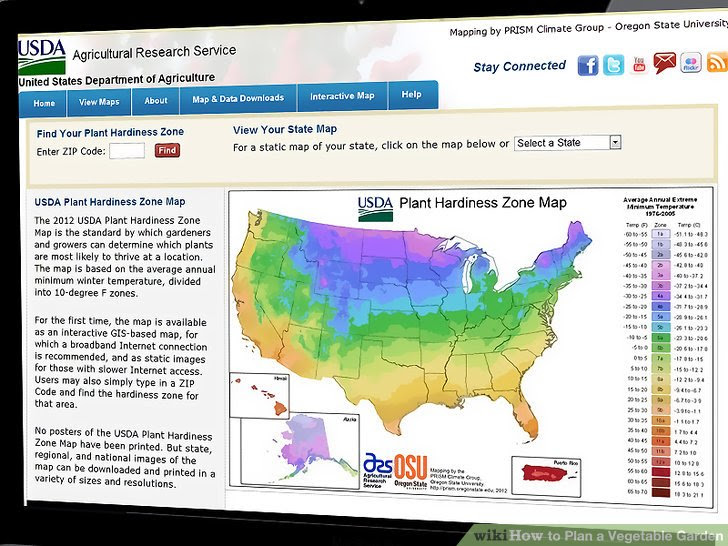 Plan a Vegetable Garden Step 3.jpg
