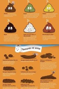  if you are not pooping you are not in the clear the sol kissed vegan