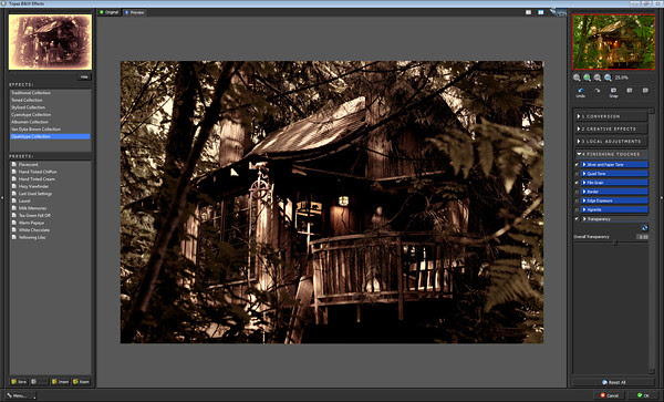 Topaz B&W Effects Opalotype Collection - Hand Tinted Chiffon