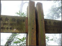 DSC01742